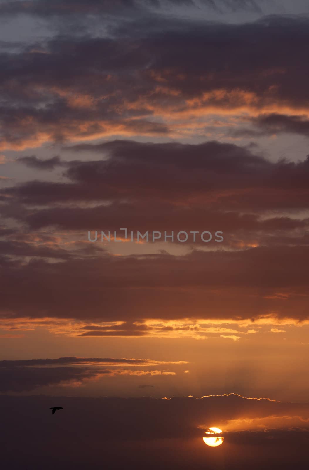 Multi-colored clouds during the sunset in the evening