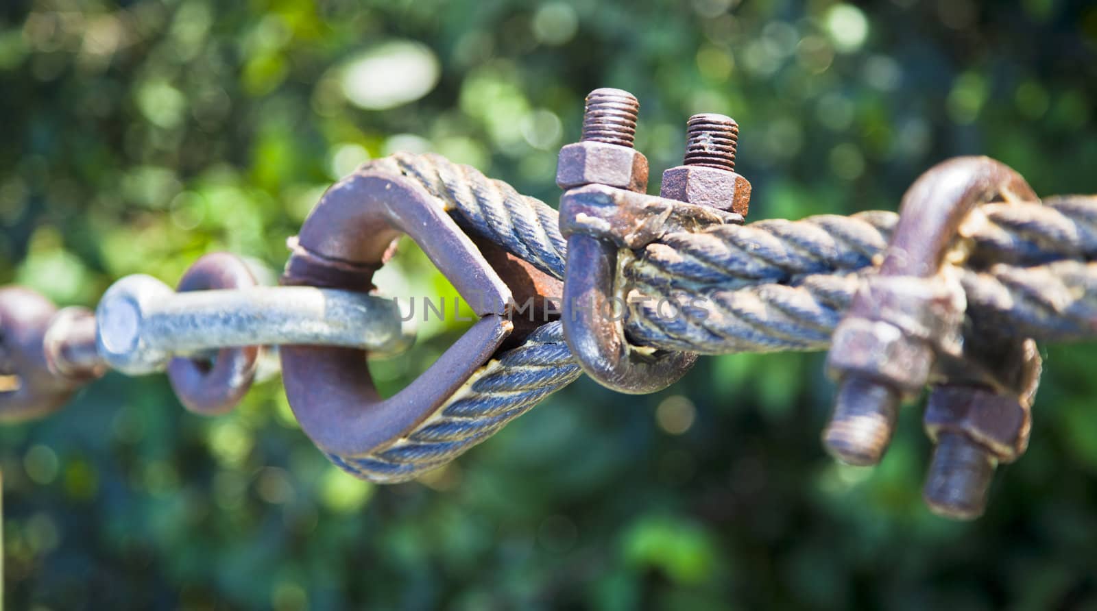 greased steel cables connected to an eyelet on leafy background