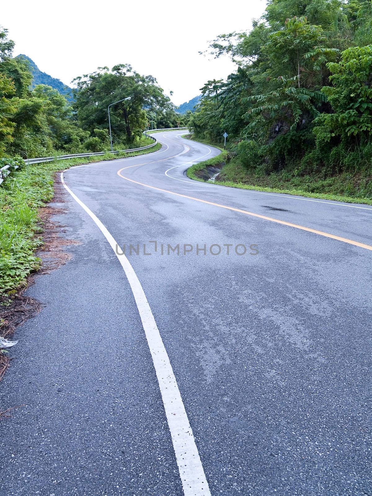 Road curves pass through the mountain and forest