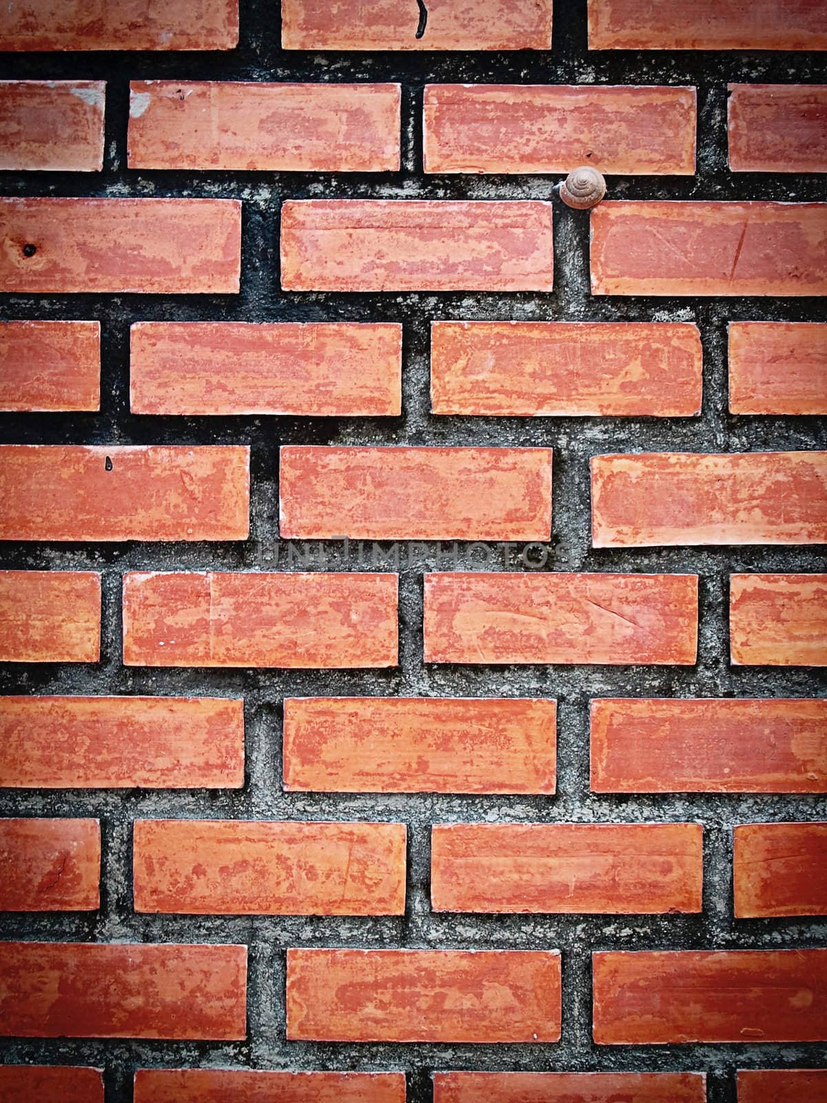 Old style nice and tidy parapet wall