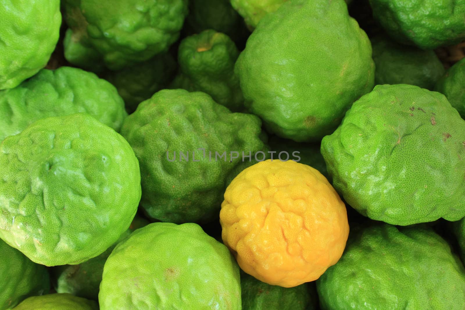 Kaffir limes by liewluck