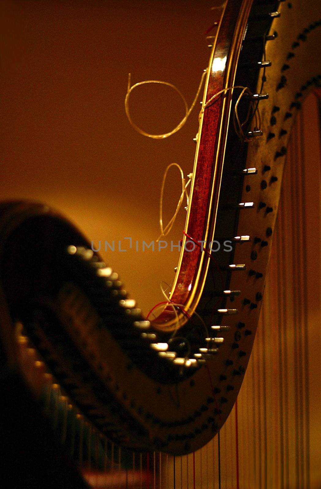 Detail of harp