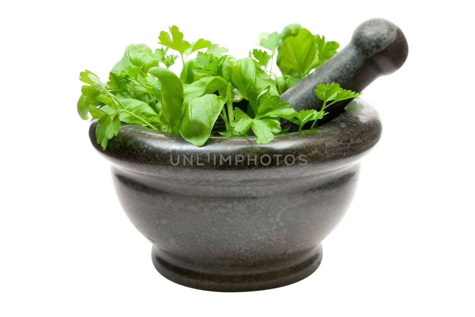 Basil and mint in a stone mortar. Isolated on a white background.