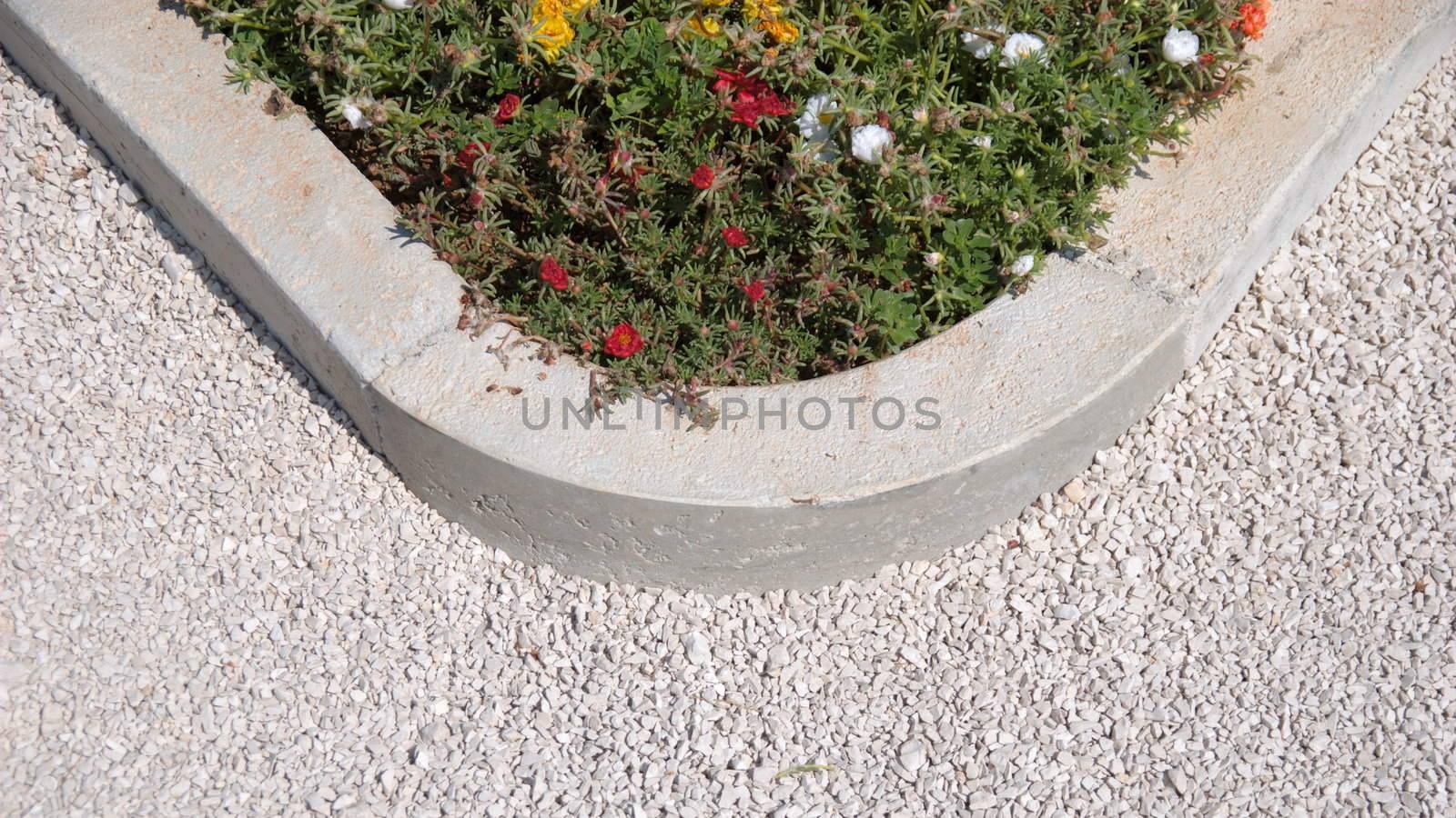 A path in a park with flowers
