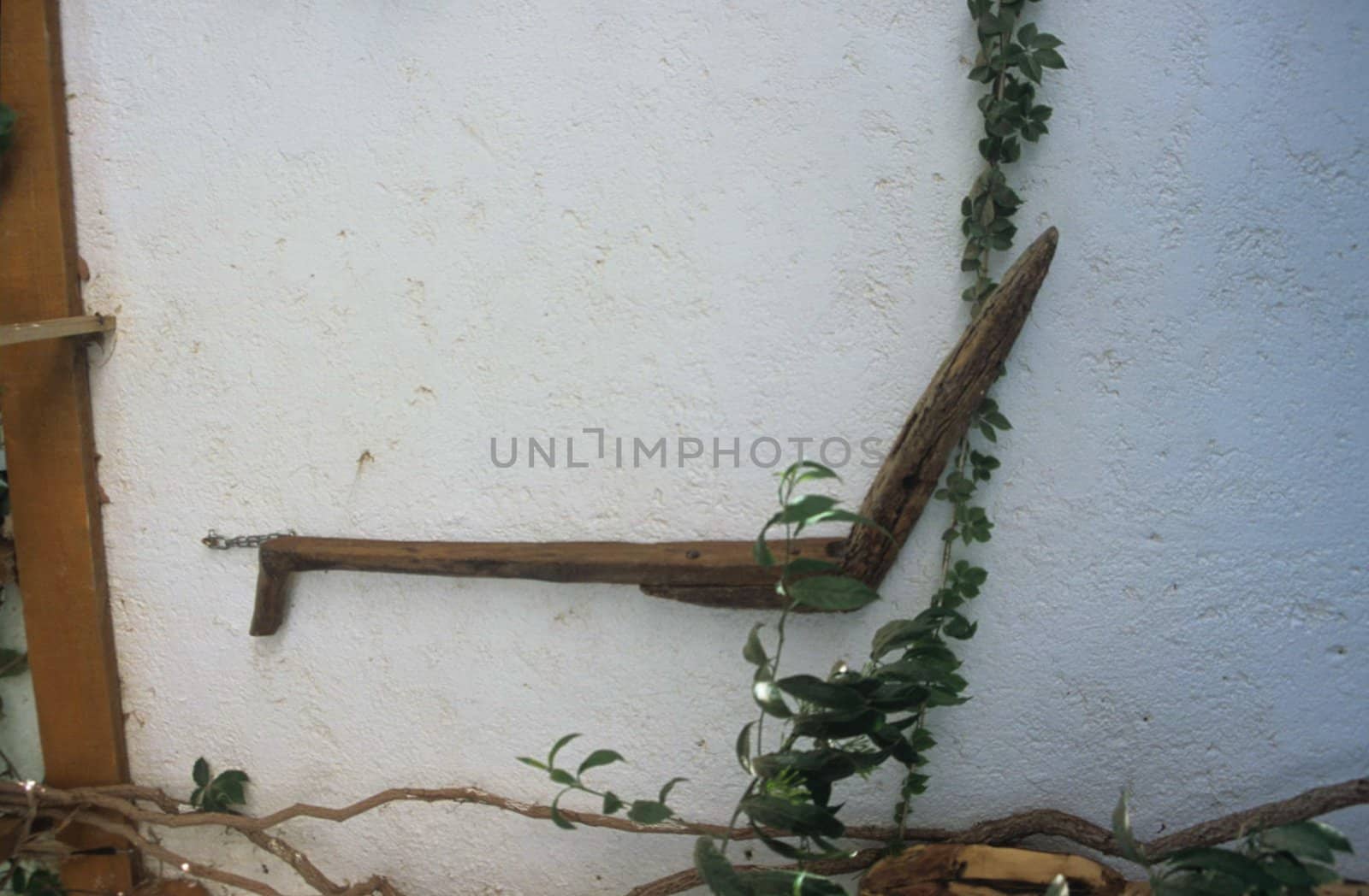 Traditional Greek wooden plough. Photo taken in 08/2005 on Karpathos islan in Dodecanese.
