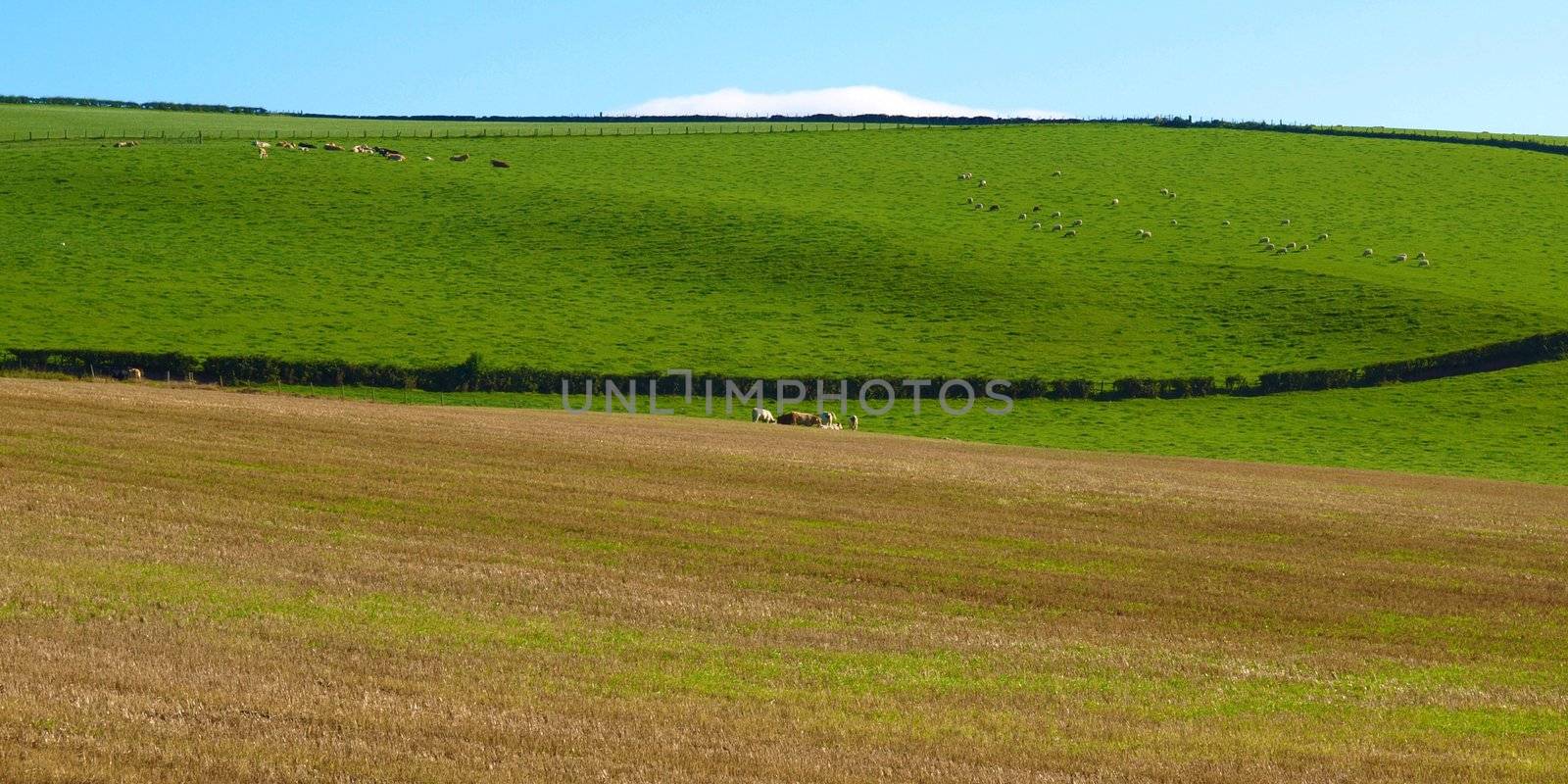 Landscape panorama view of Cardross hills near Glasgow, Scotland