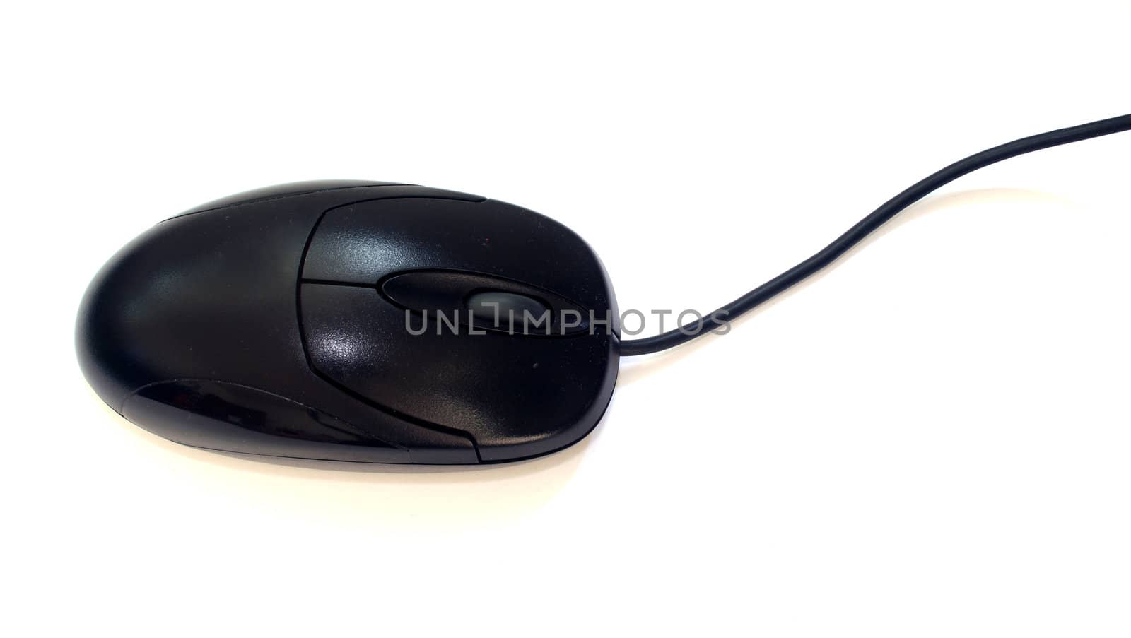 A mouse on white background