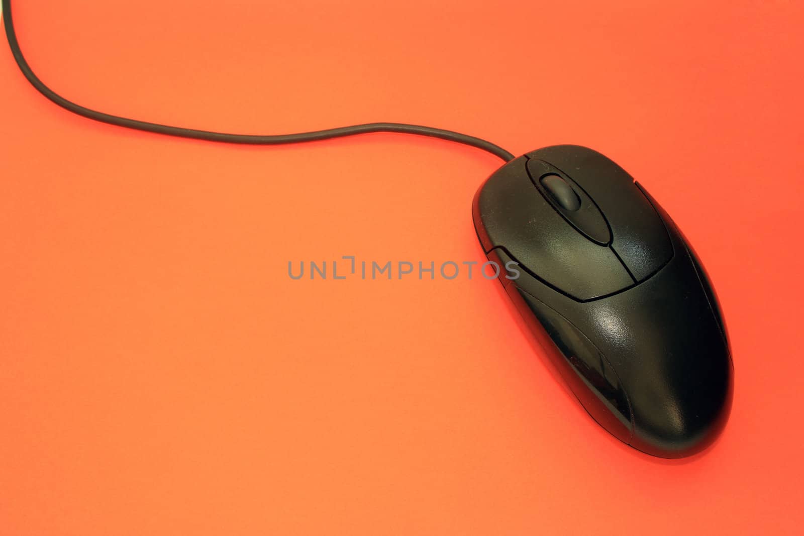 A mouse on orange background