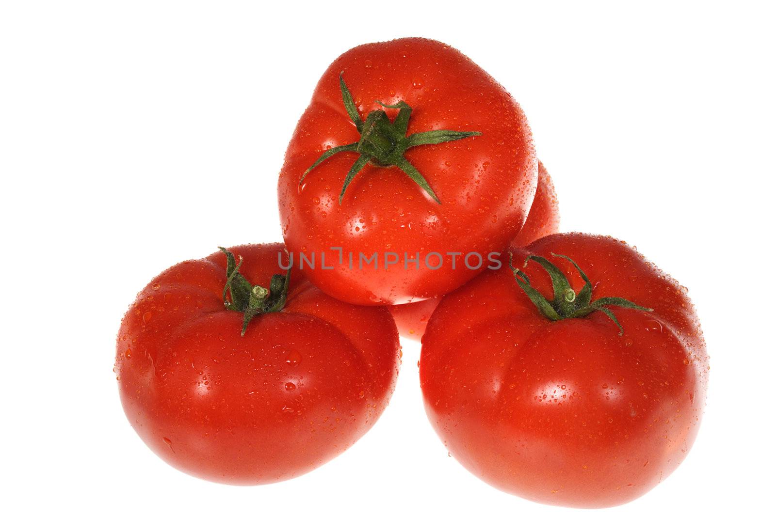 red tomatos photo on the white background