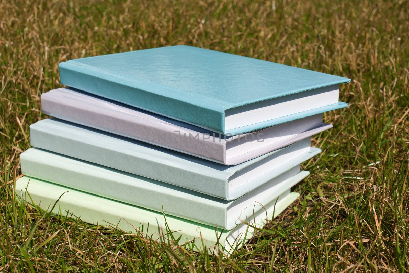Stack of the books laying at the grass by AndreyKr