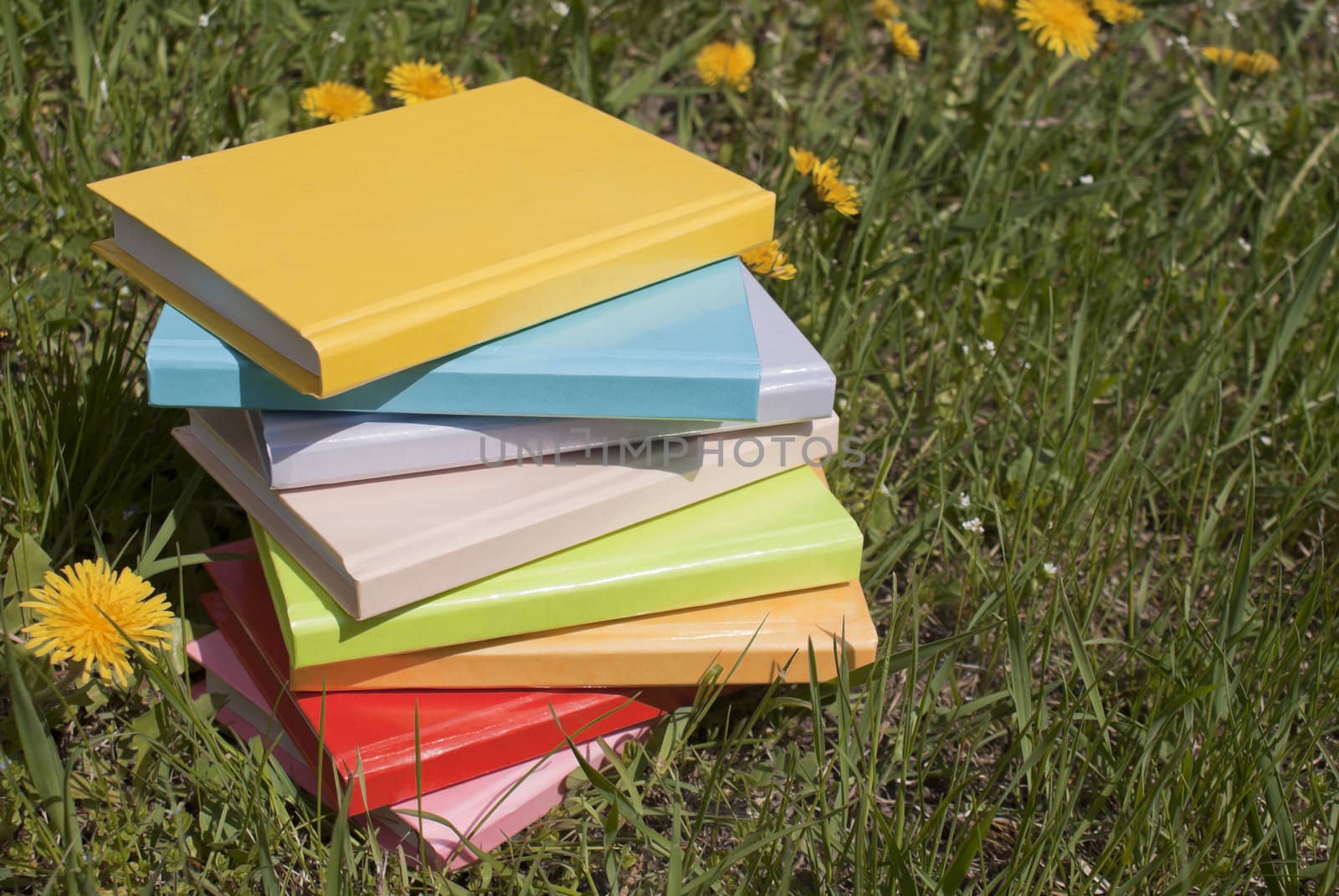 Stack of the books laying on the grass by AndreyKr