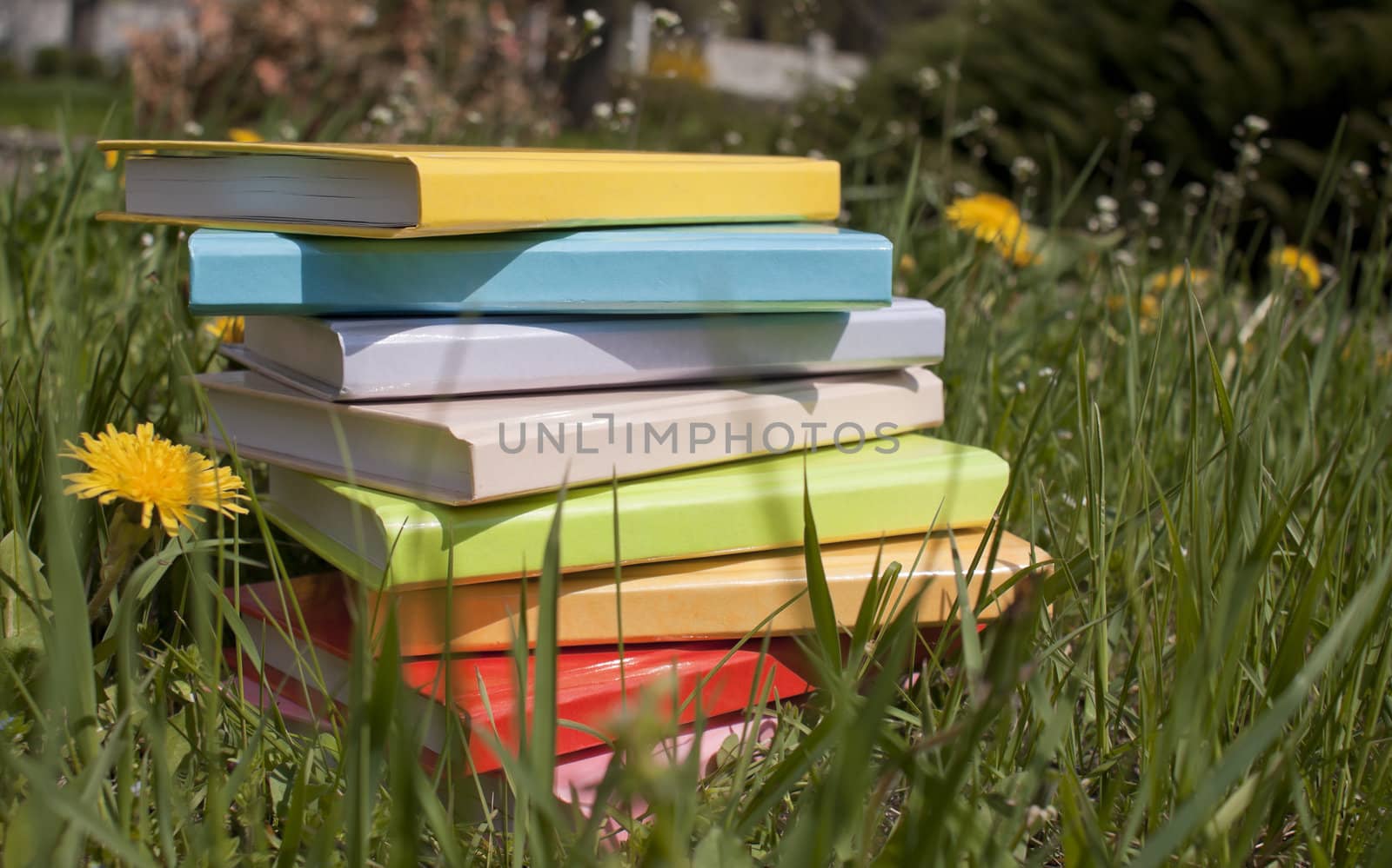 Stack of the books laying on the grass by AndreyKr