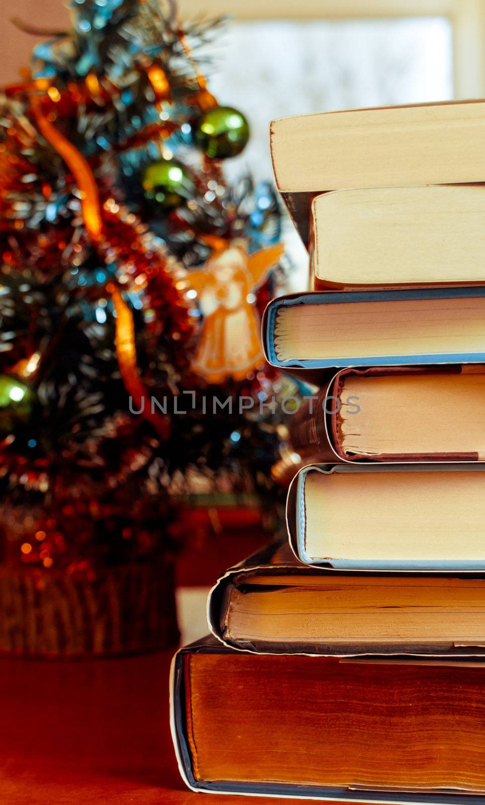 Books laying in front of Chrismas tree by AndreyKr