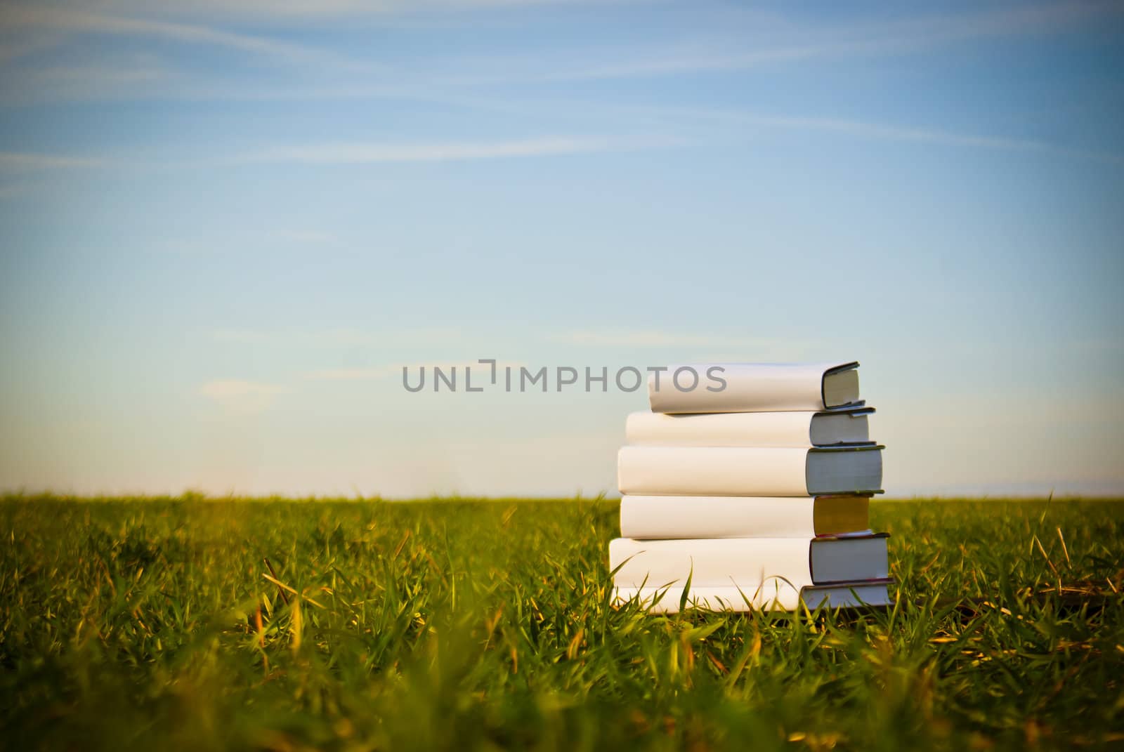 Books laying on grass