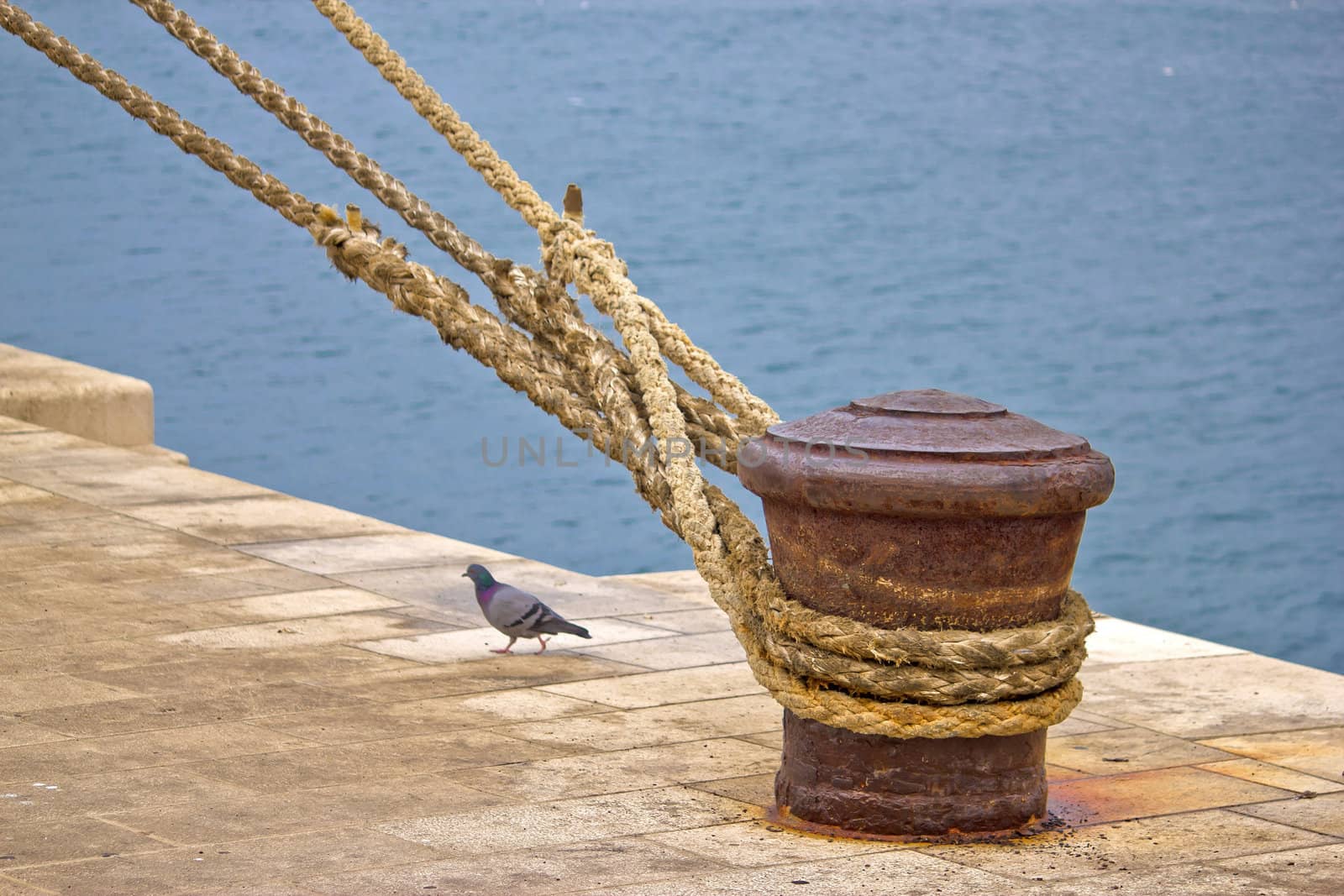 Rusty mooring bollard with ship ropes by xbrchx