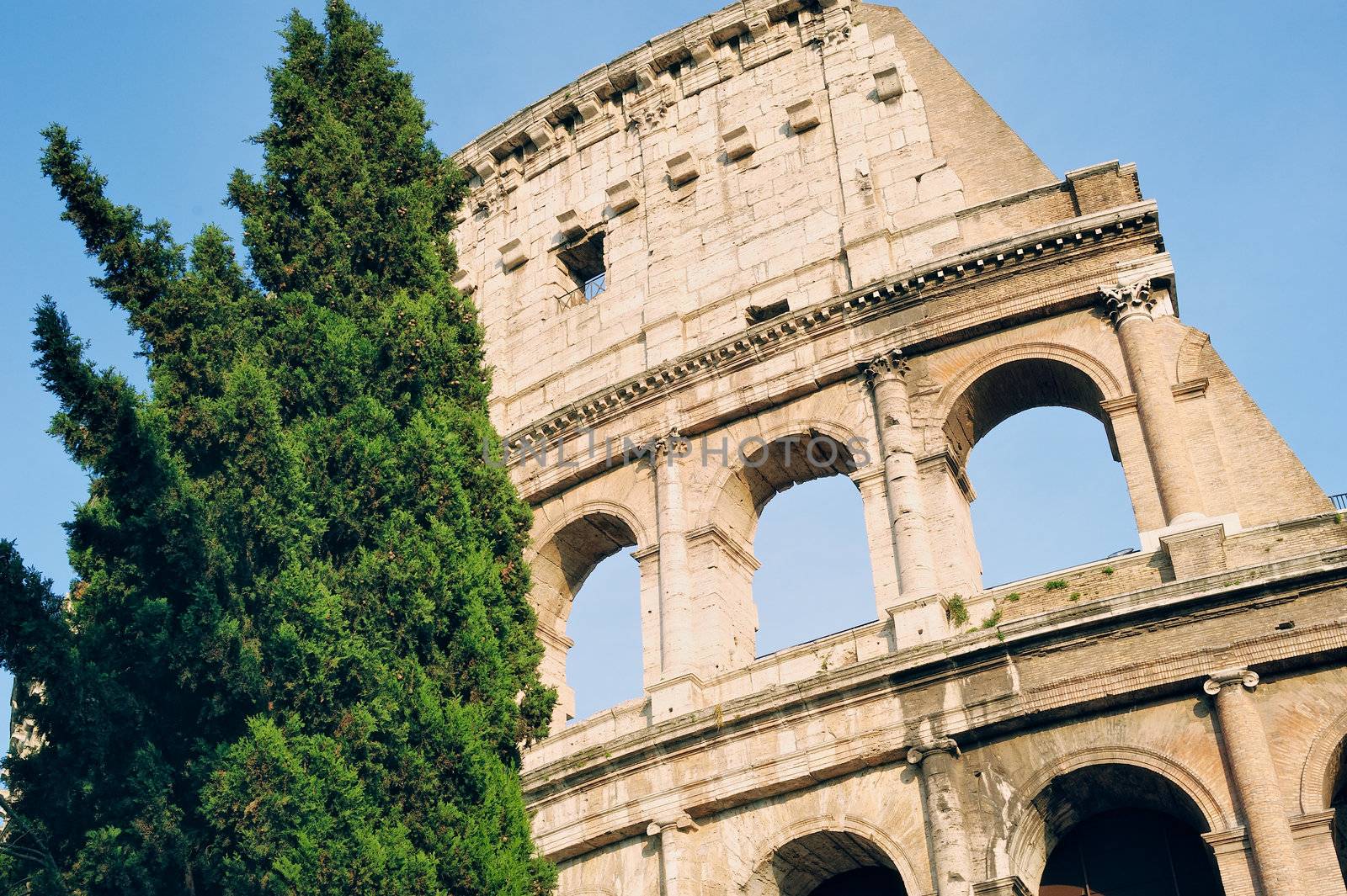 Ancient ruins Roman Colosseum. View from side