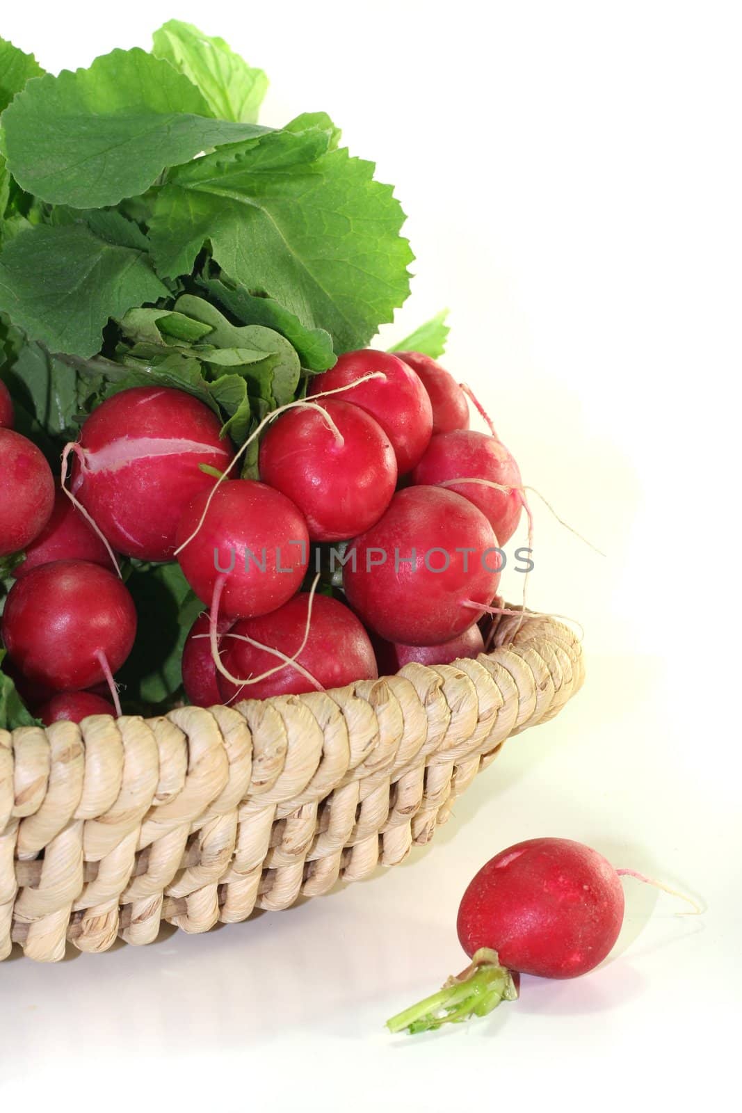 fresh radishes with green leaves in a basket