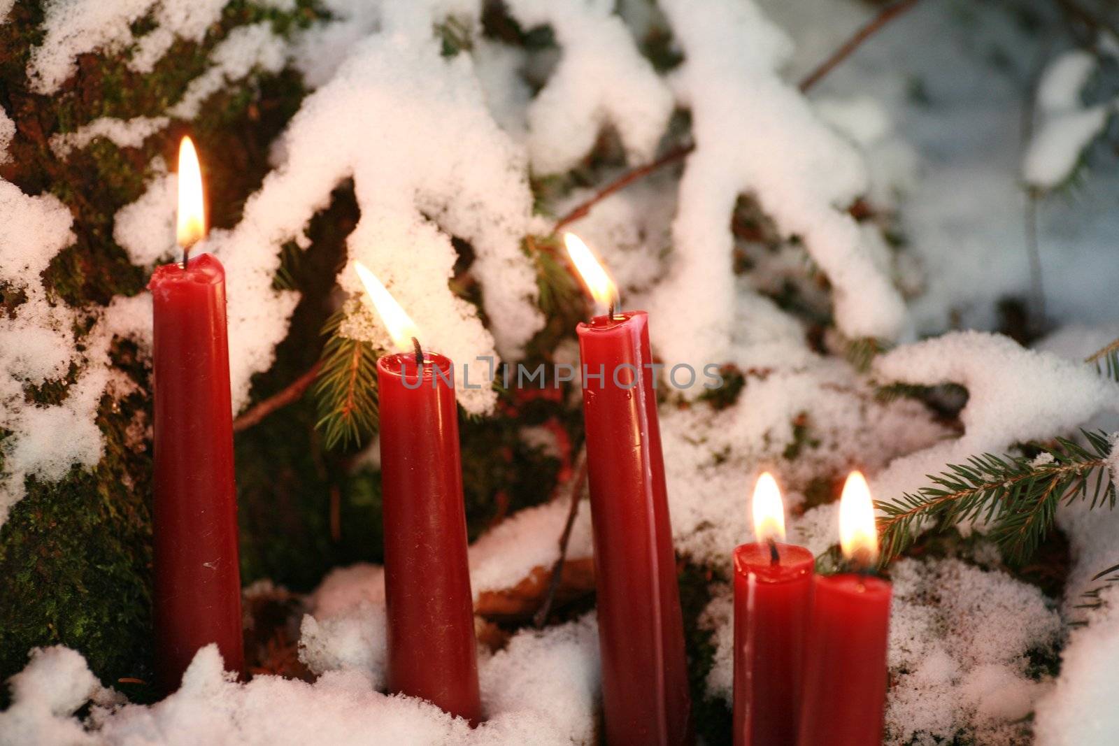 candles in snow