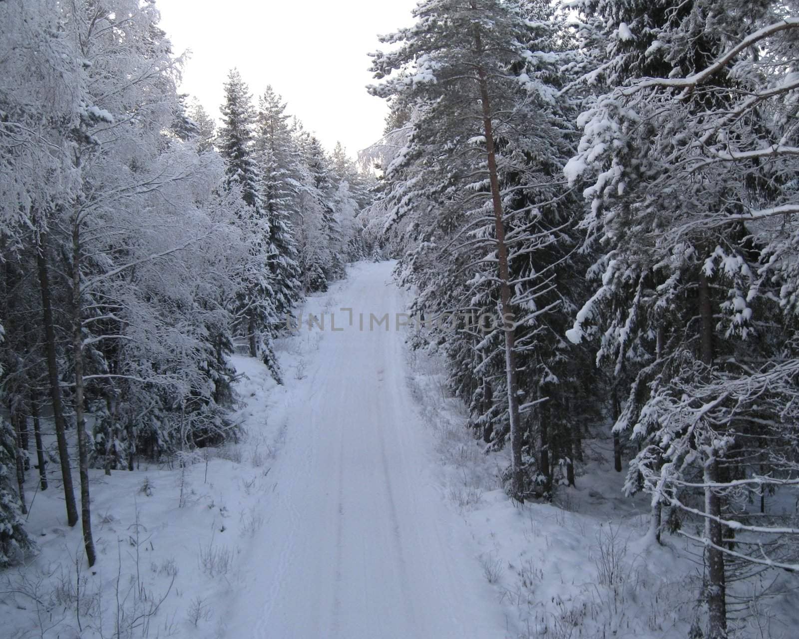 Snowig road in Akershus, Norway