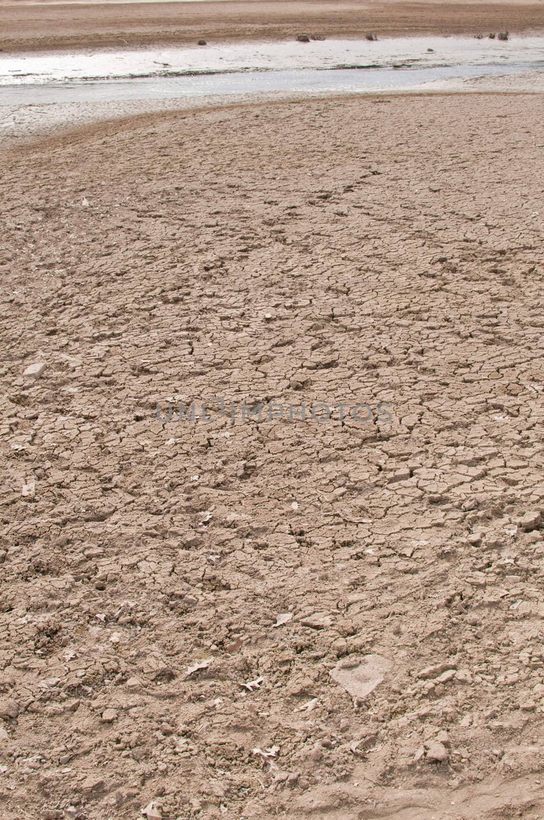 Rest of the Water on bottom of the dried lake