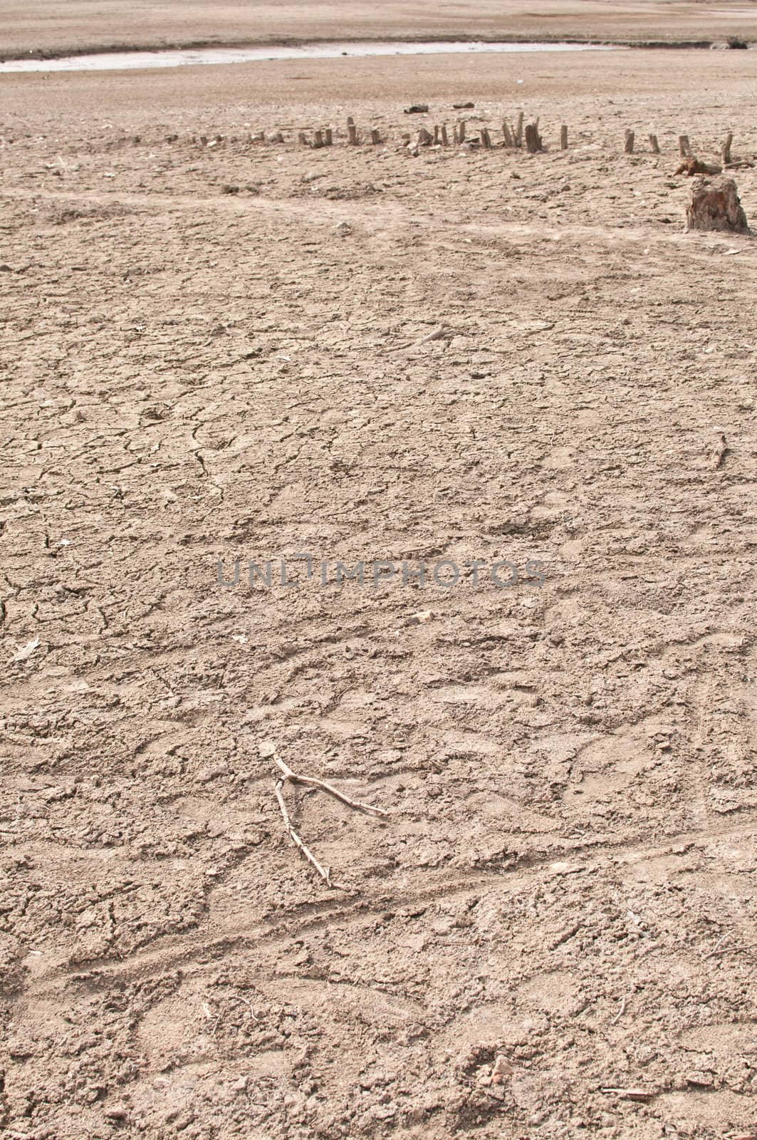 Rest of the Water on bottom of the dried lake