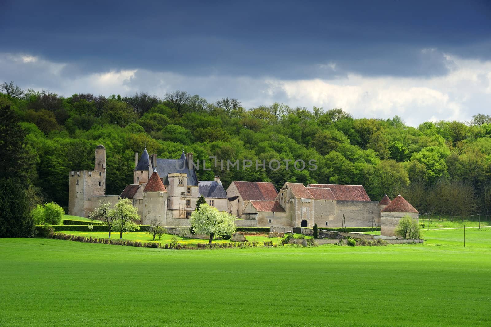 The Chateau de Faulin in Burgundy, France. Space for text on the sky or green field.