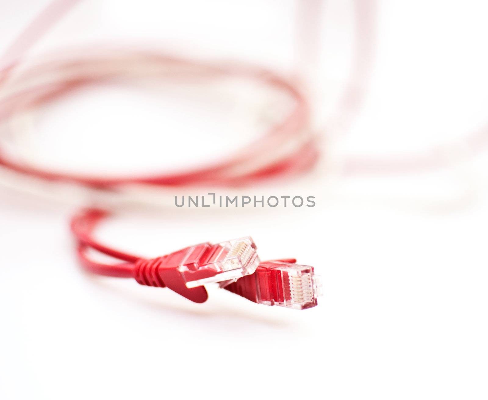 Red and White Ethernet RJ45 Cables on White Background