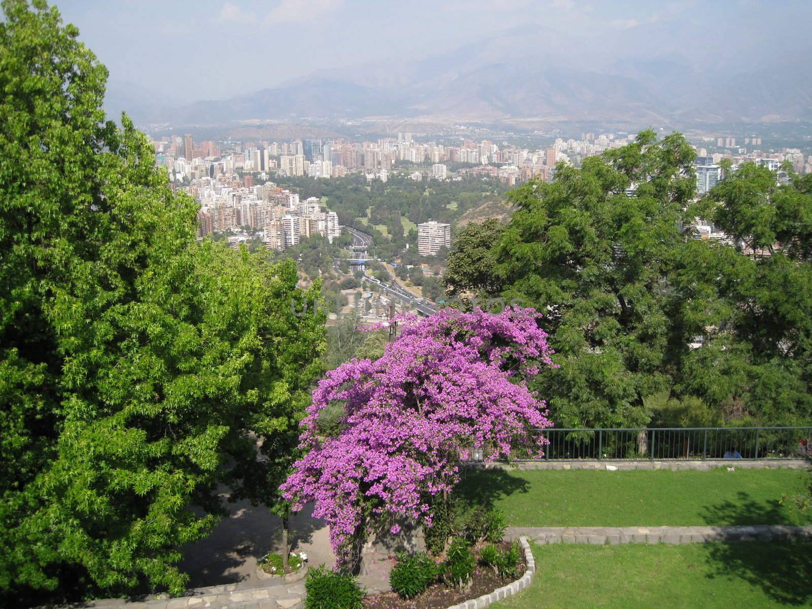 The view from Antilèn over Santiago city, Chile
