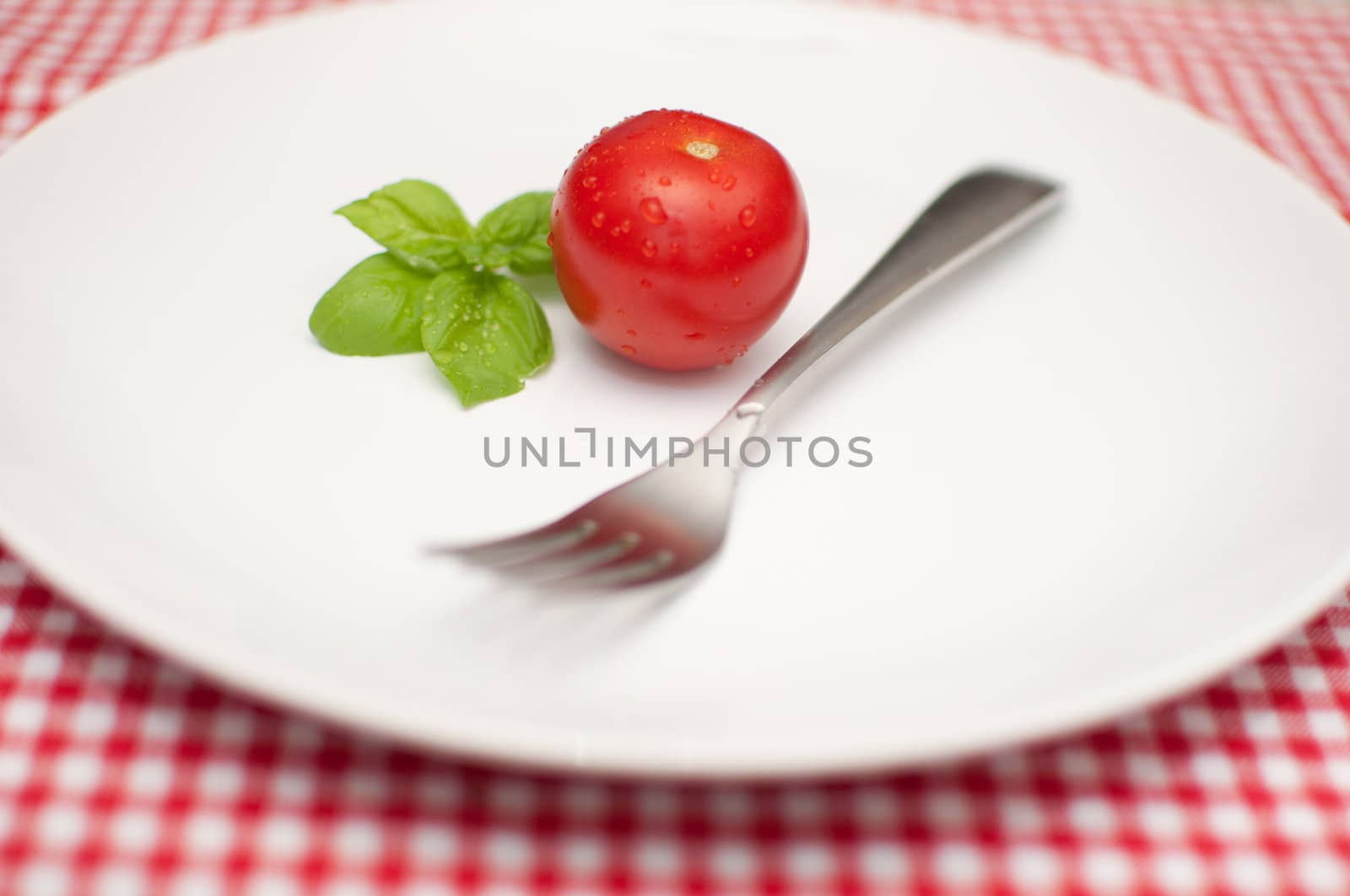 Diet - Tomato, Fresh Basil and Fork on Empty Plate