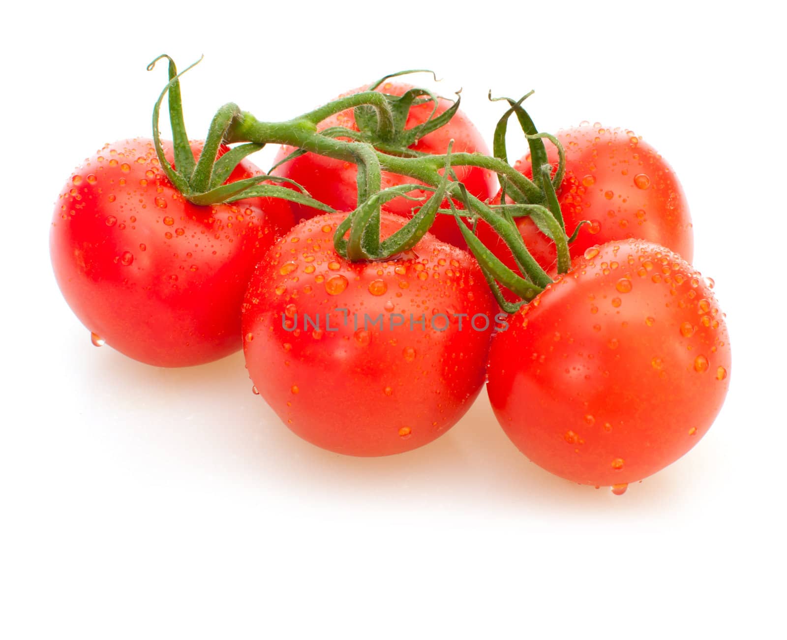 Bunch of Fresh Tomatoes on White Background