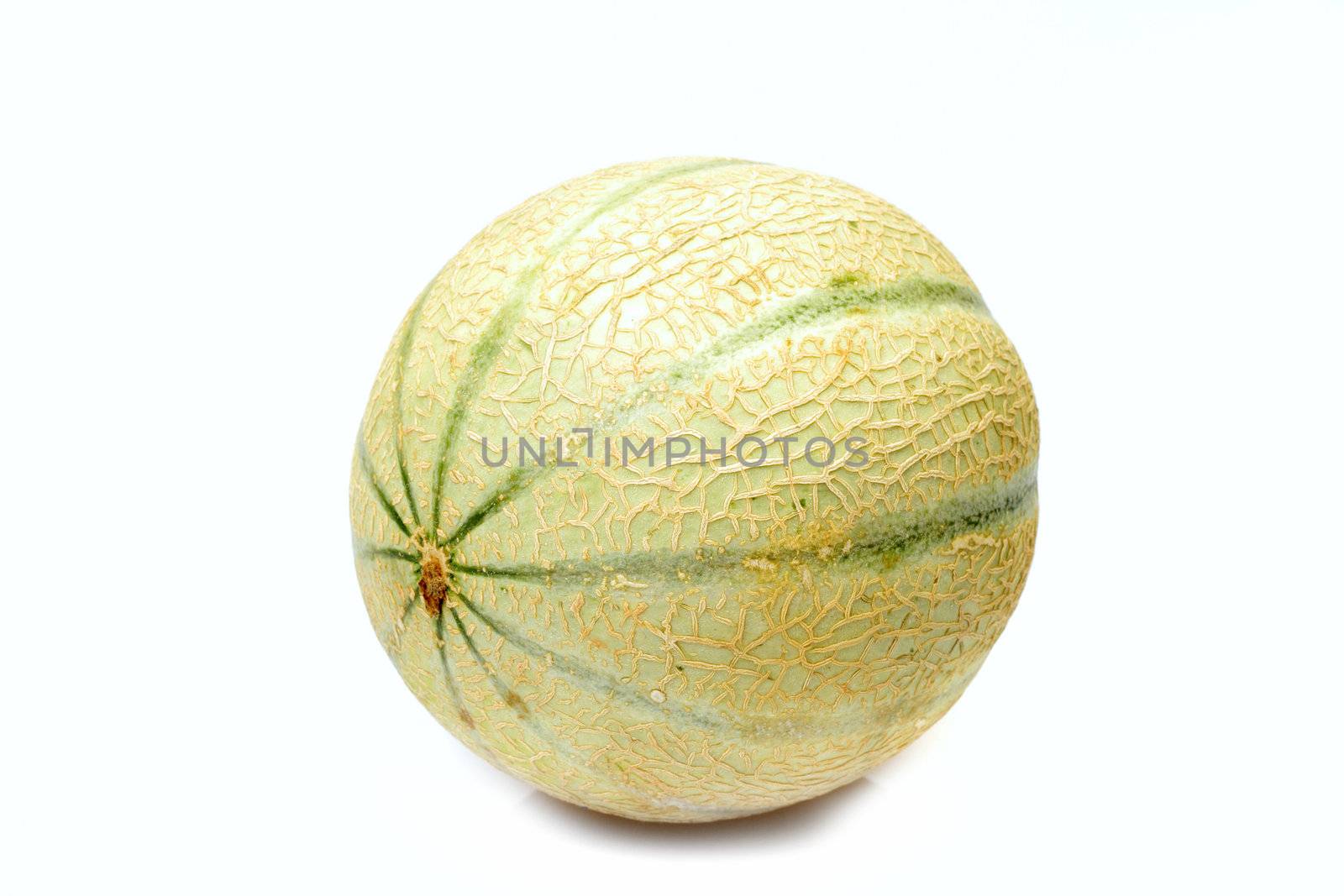 ripe melon, photo on the white background