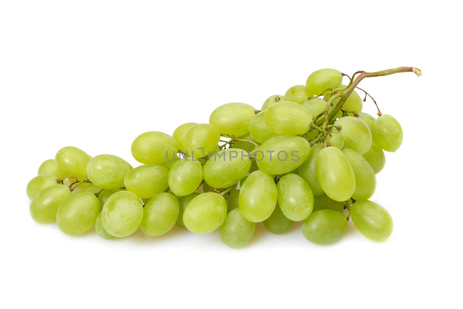 Branch of green grapes, photo on the white background