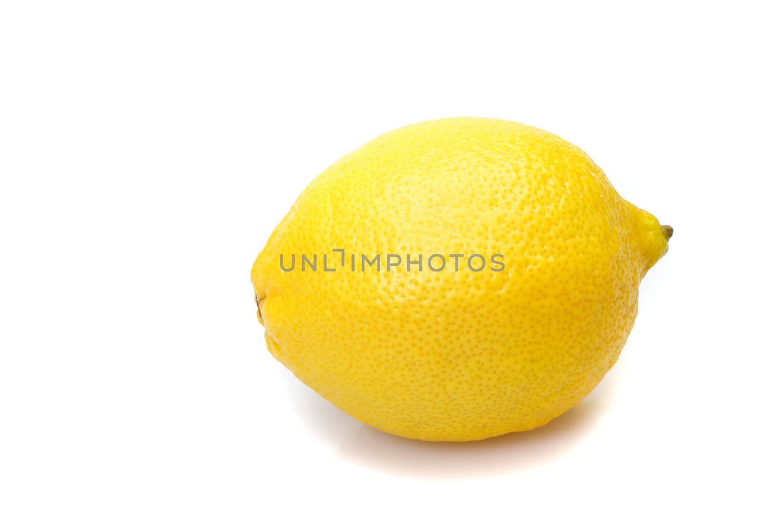 Lemon on the white background photo in studio