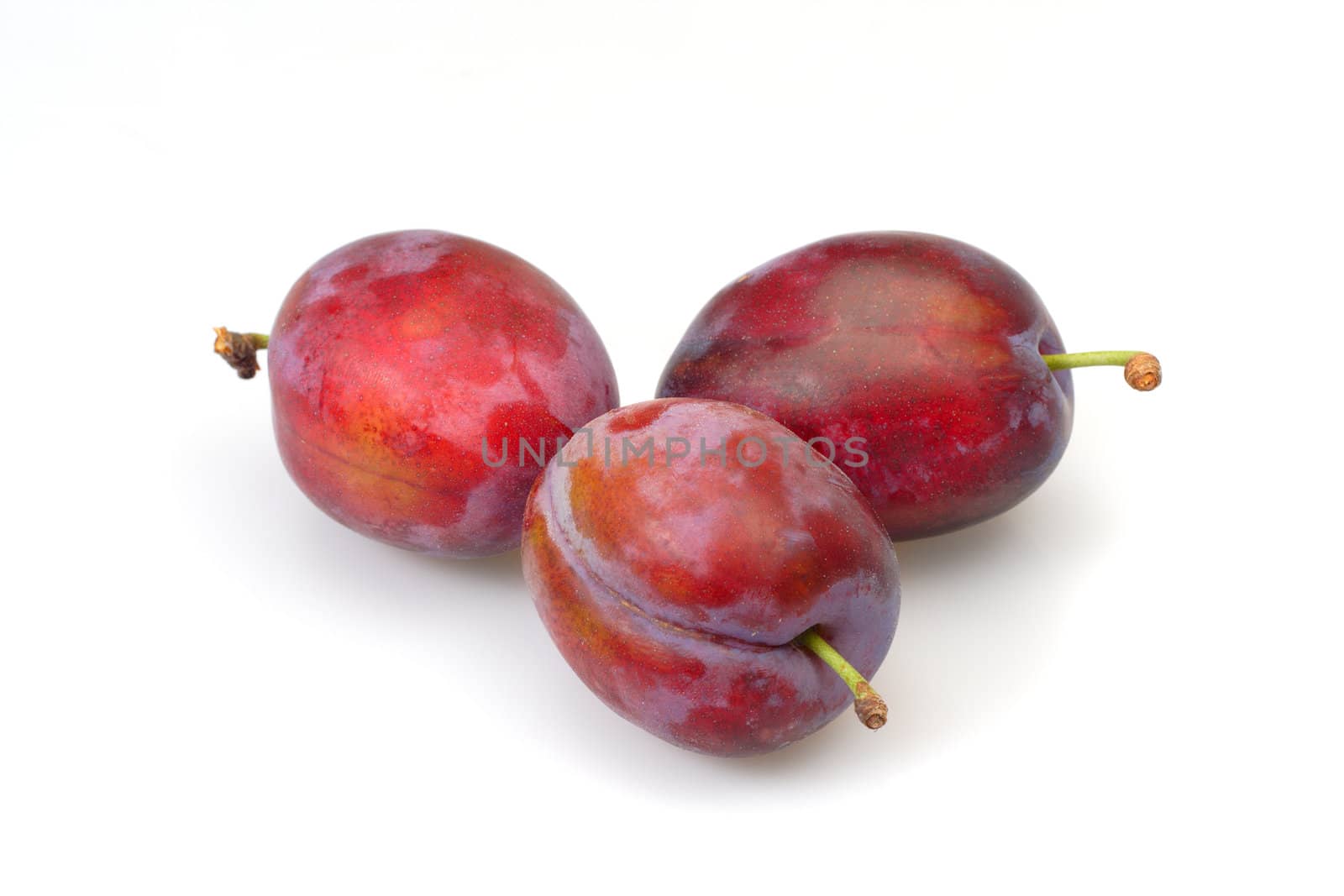 Three red plums on a white background