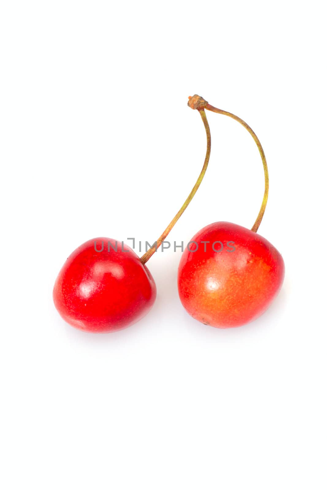 Two cherries, photo on the white background