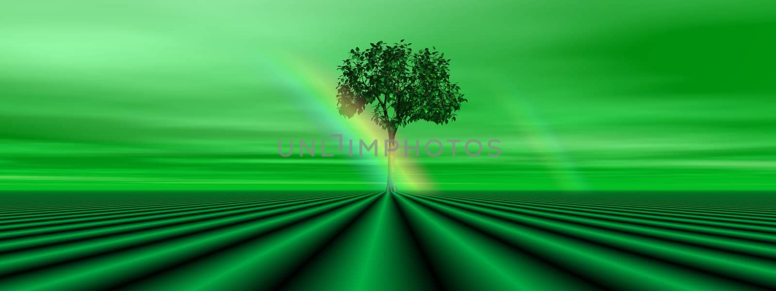 Green tree and rainbow by Elenaphotos21