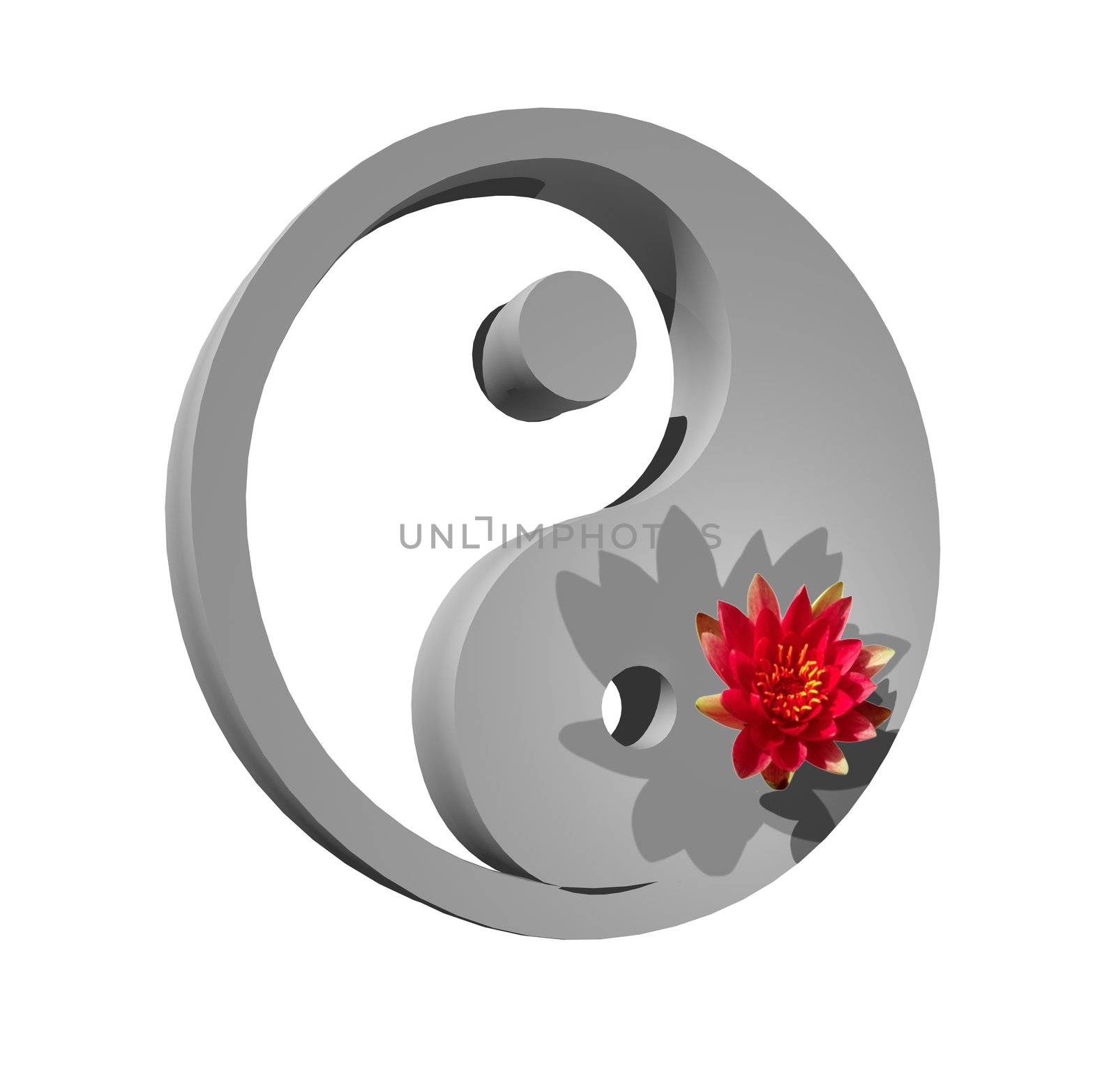 Grey yin and yang symbol with a lily flower on it in white background