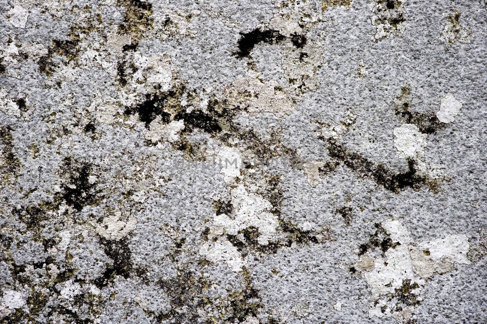 texure from decaying wall