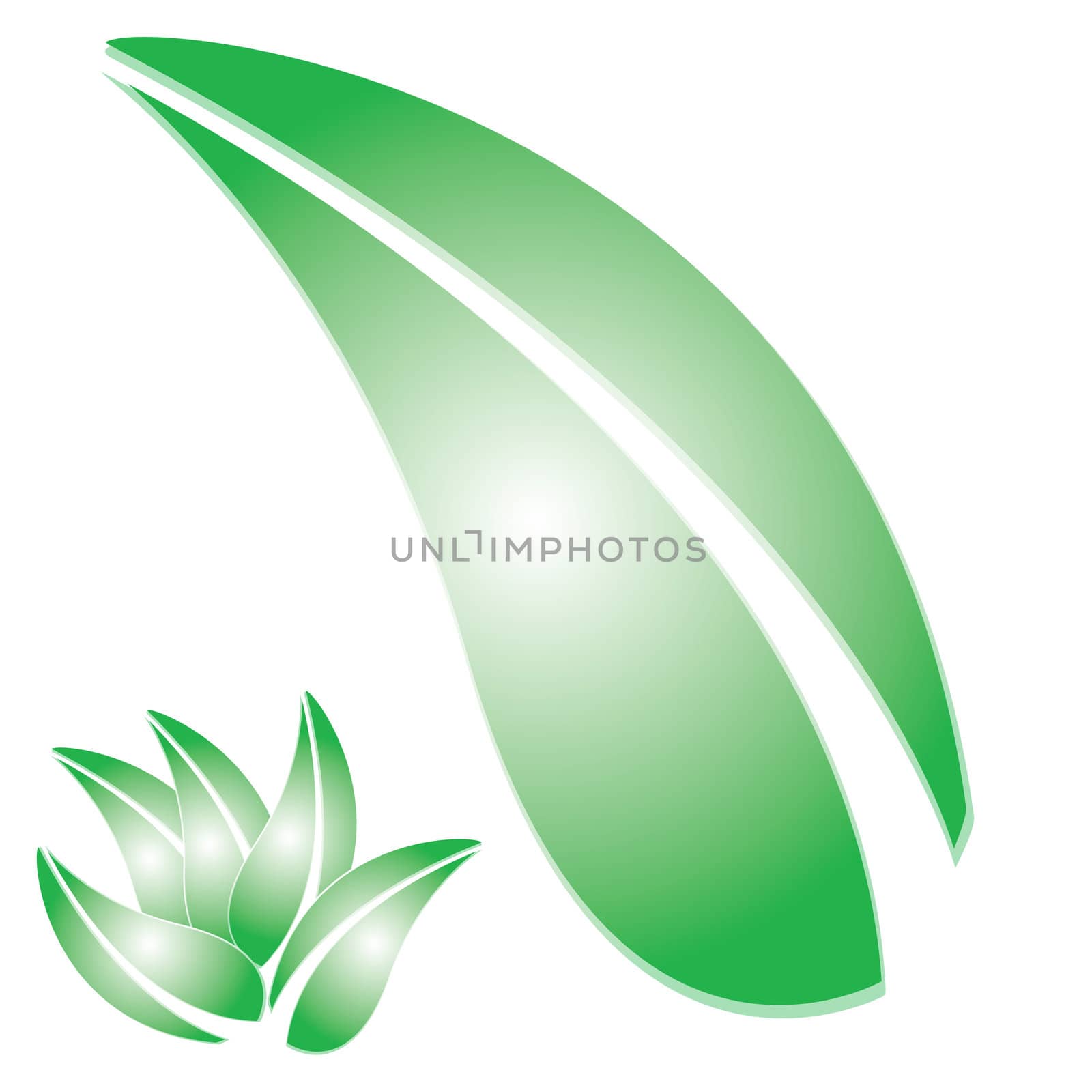 Green Leaf by graficallyminded
