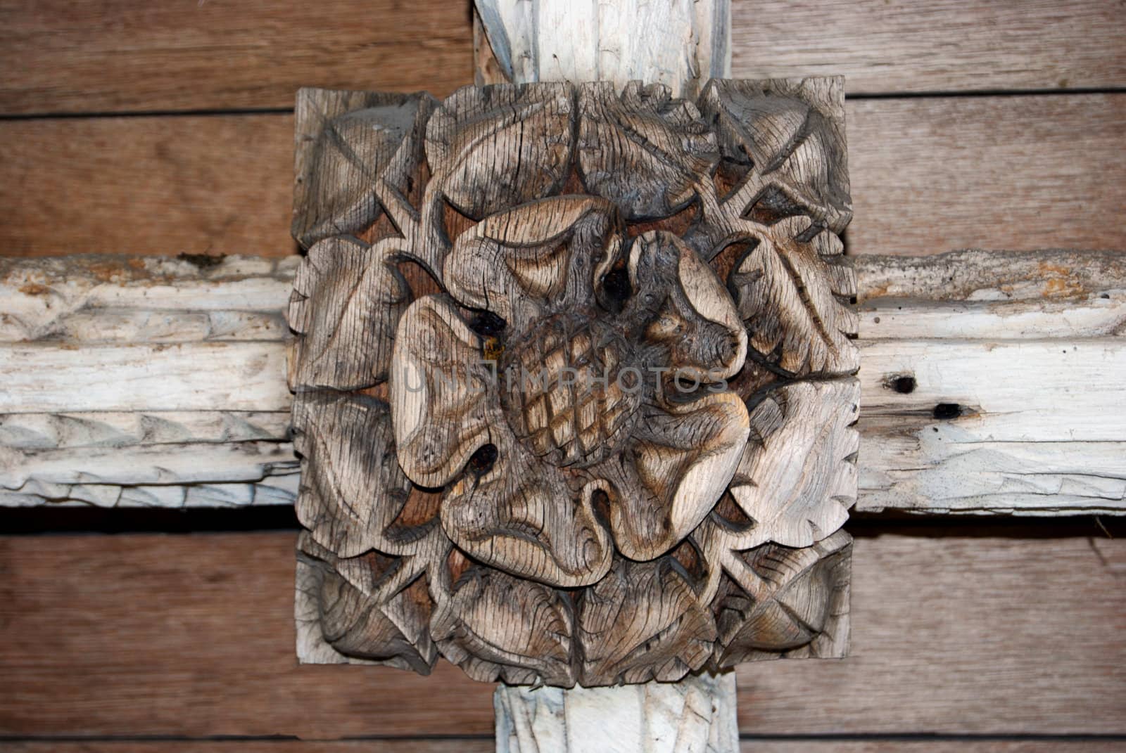 A Tudor rose carved on a church cealing