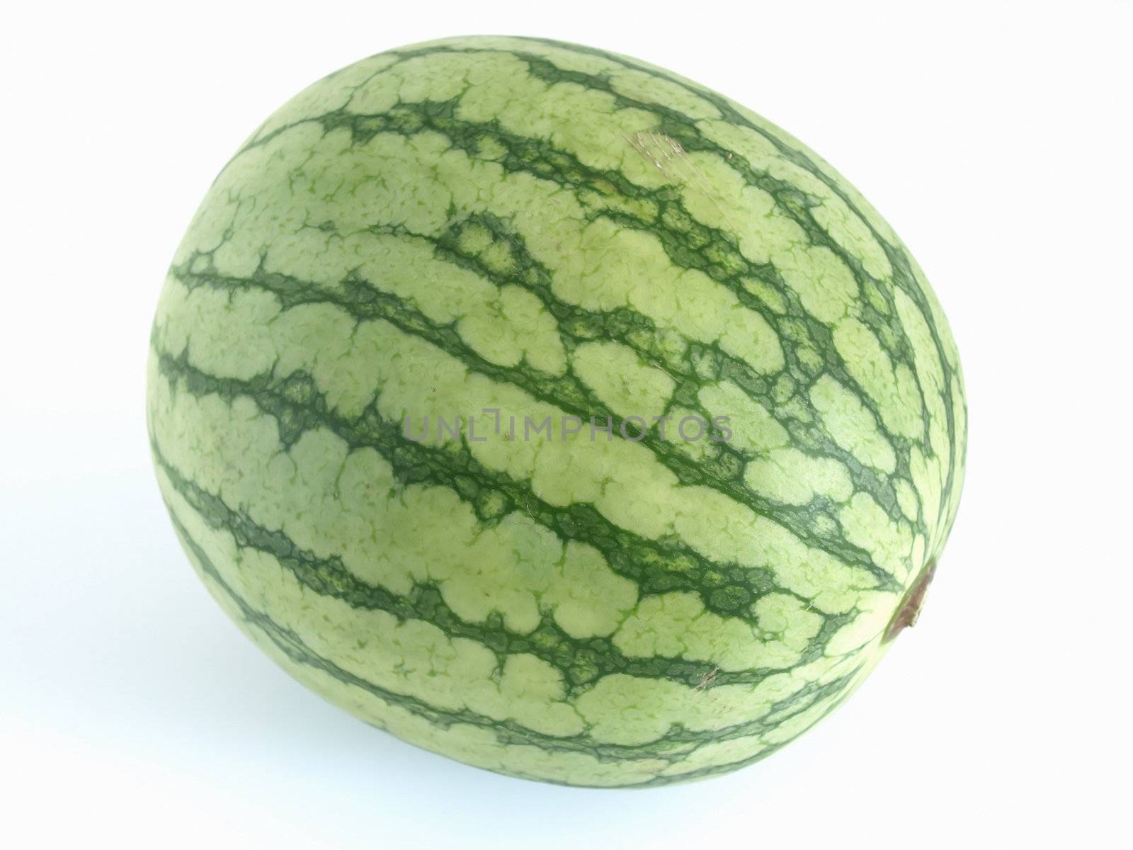 An isolated green watermelon studio isolated against a white background.