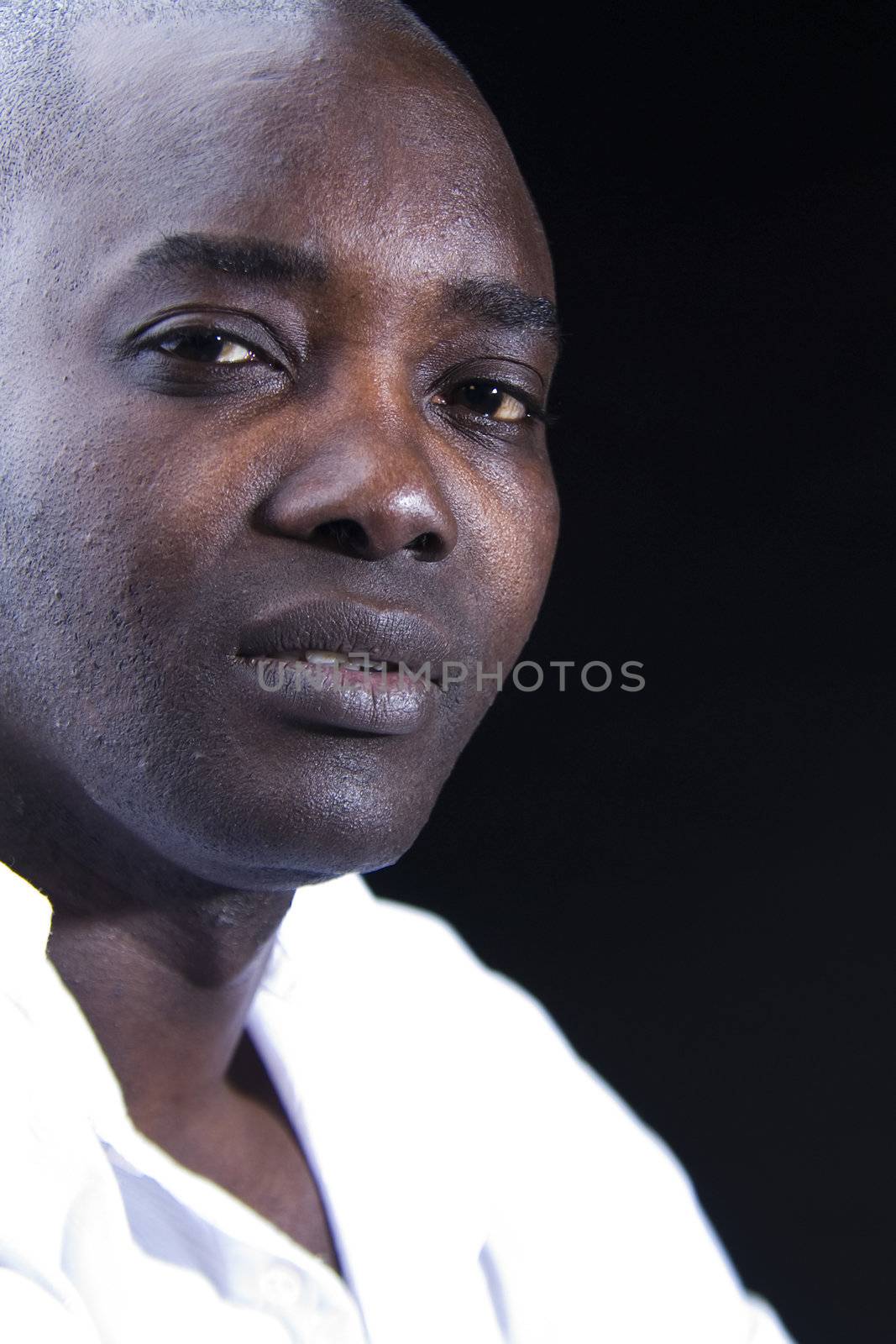 a african malemodel portrait in the studio