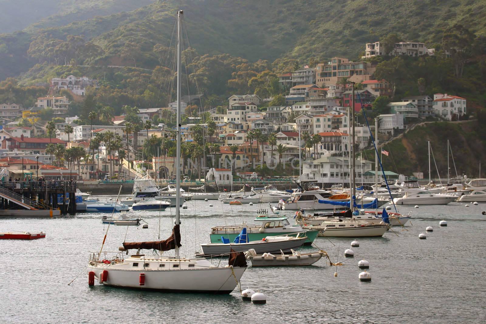 Avalon Bay with Boats in Catalina by KevinPanizza