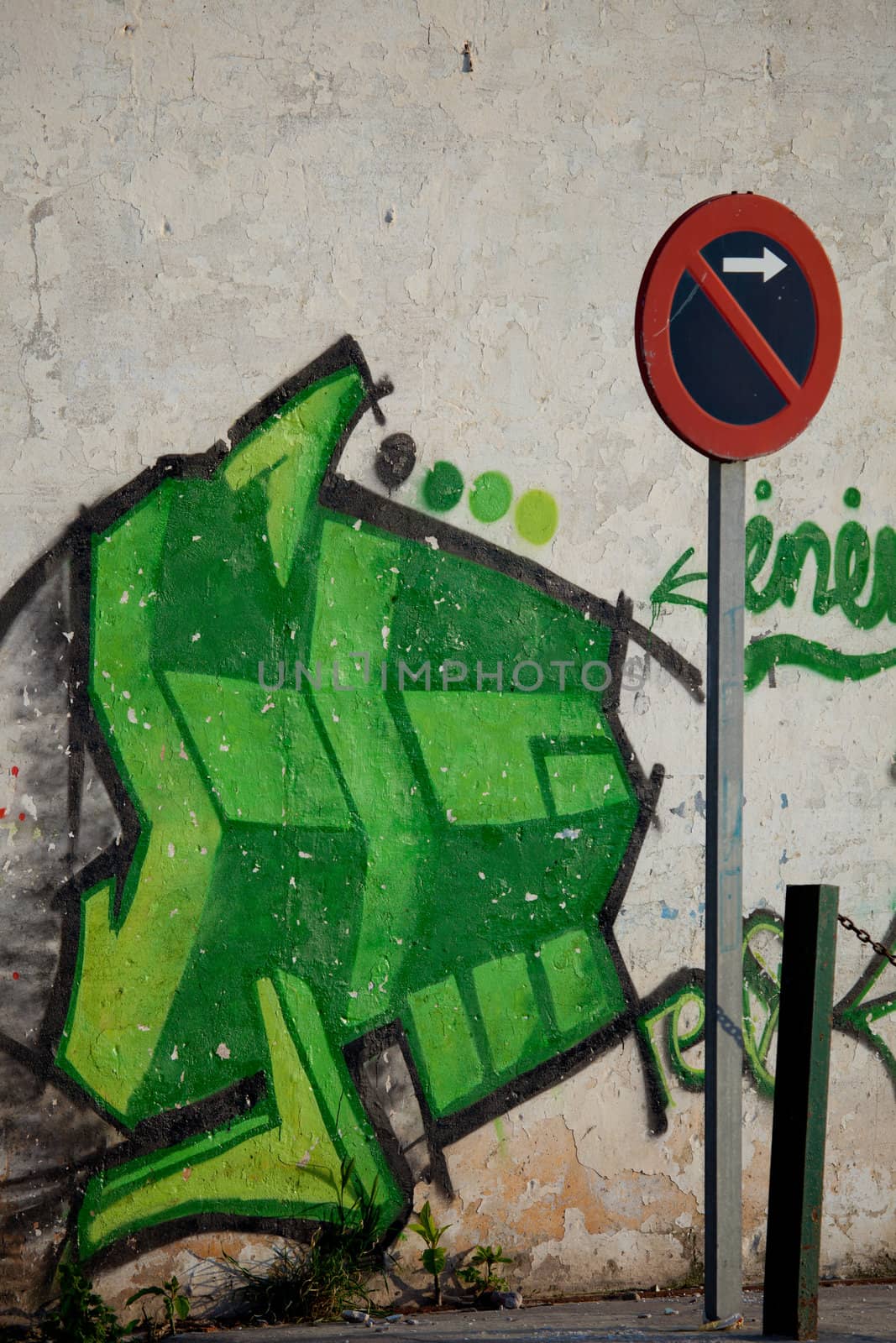 Sample of a kind of urban culture that comes true on the basis of painting the walls with spray and that commonly  is called Graffiti