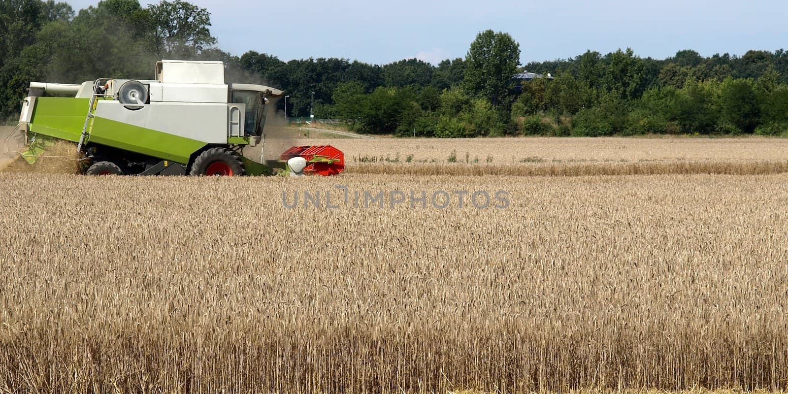 Harvester in a field of barley for beer production