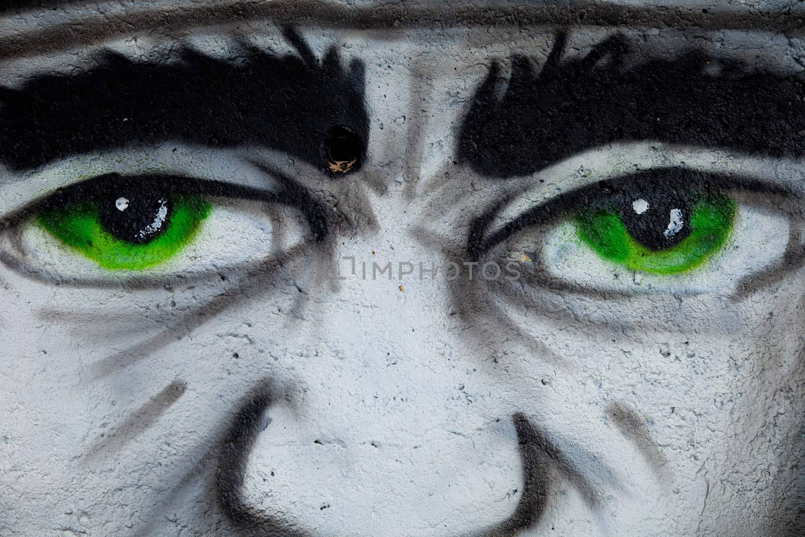 Sample of a kind of urban culture that comes true on the basis of painting the walls with spray and that commonly  is called Graffiti