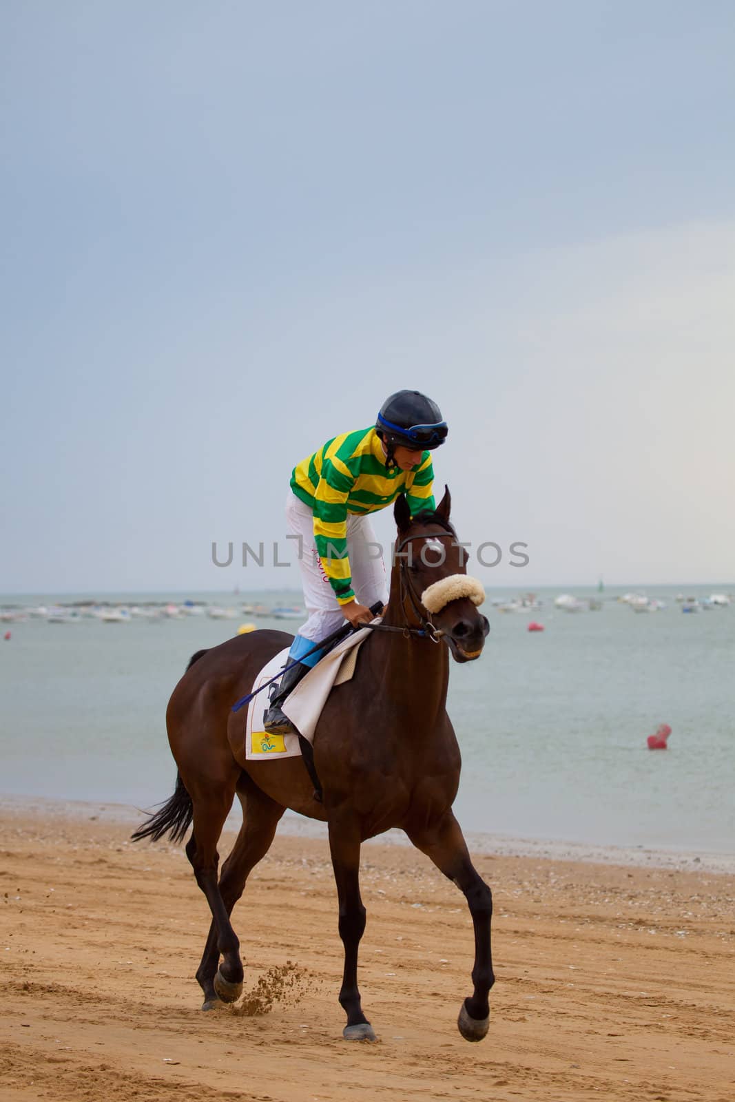 SANLUCAR DE BARRAMEDA, CADIZ, SPAIN - AUGUST 07: Unknown rider at the start of the horses races of the beach of Sanlucar de Barrameda on August 07, 2010 in Sanlucar de Barrameda, Cadiz, Spain.