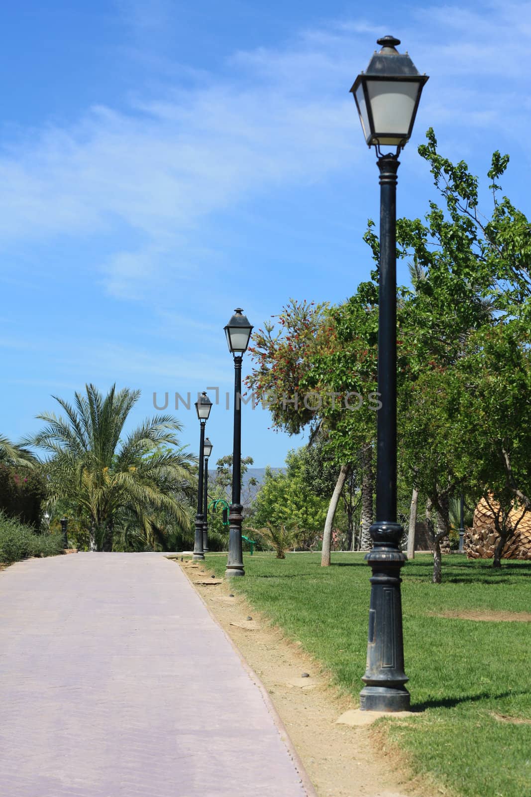 Line of lampposts along a park lane in a tropical garden.