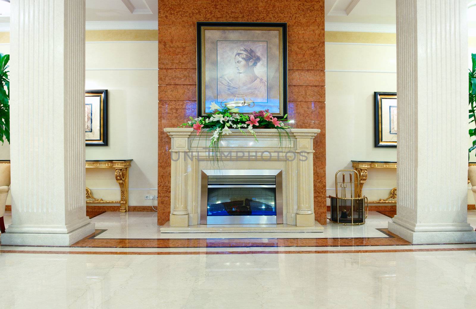 Fireplace in the Living Room in Luxury Home