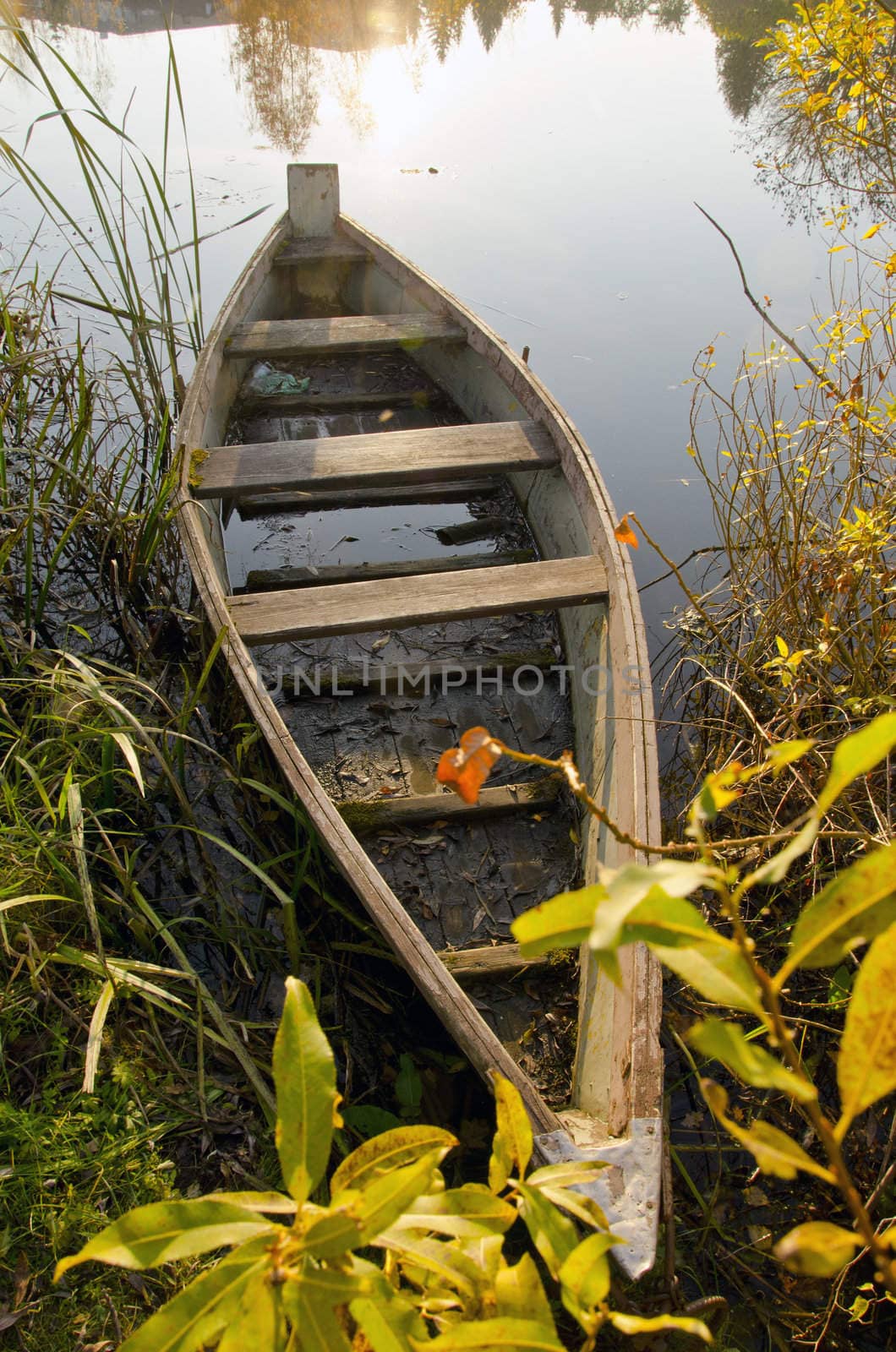 Old wooden boat locked at lake. Morning scene. by sauletas